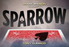 Sparrow by Tony D'Amico