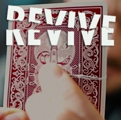Revive by Duane Williams