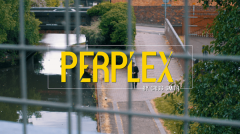 Perplex by Criss Smith