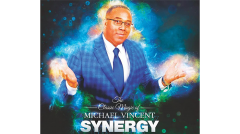 Synergy by Michael Vincent