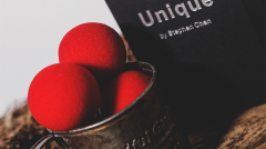 Unique Sponges by Stephen Chan and TCC