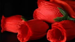 The Rose 2.0 by Bond Lee & Wenzi Magic