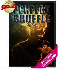 Perfect Shuffle by Biz
