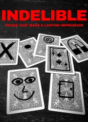 INDELIBLE Sankey Magic