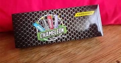 Chameleon Marcos Cruz