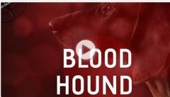 The Vault - Blood Hound - Takumi Takahashi