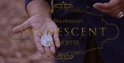 Evanescent Rooster - The 1914