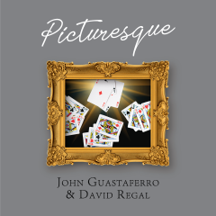 ​Picturesque by John Guastaferro & David Regal​