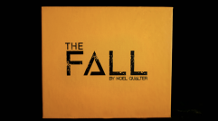 The Fall by Noel Qualter